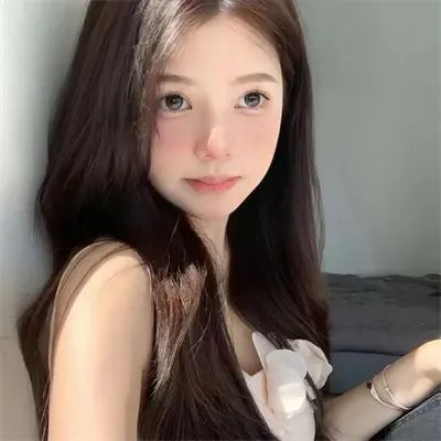 三只流浪猫