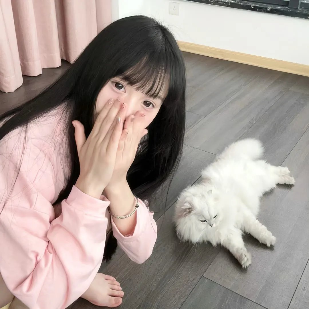 梦想的声音第三季